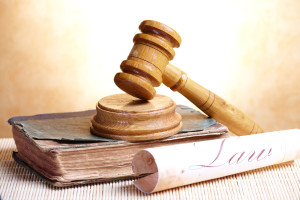 Wilson Morton Downs Business Litigation